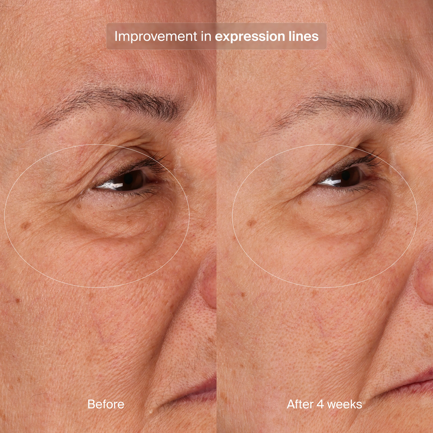 Pavise Bioadaptive Stress Repair Refill - Freeze Co Beauty