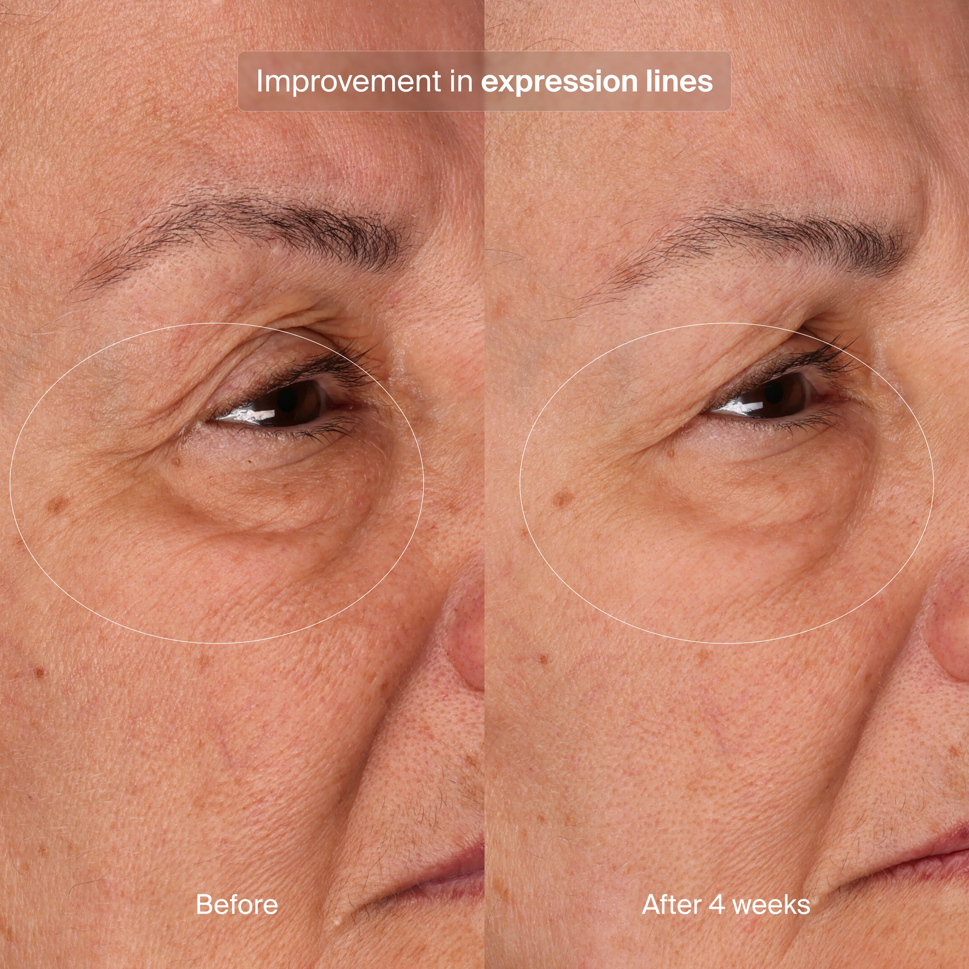 Pavise Bioadaptive Stress Repair Refill - Freeze Co Beauty