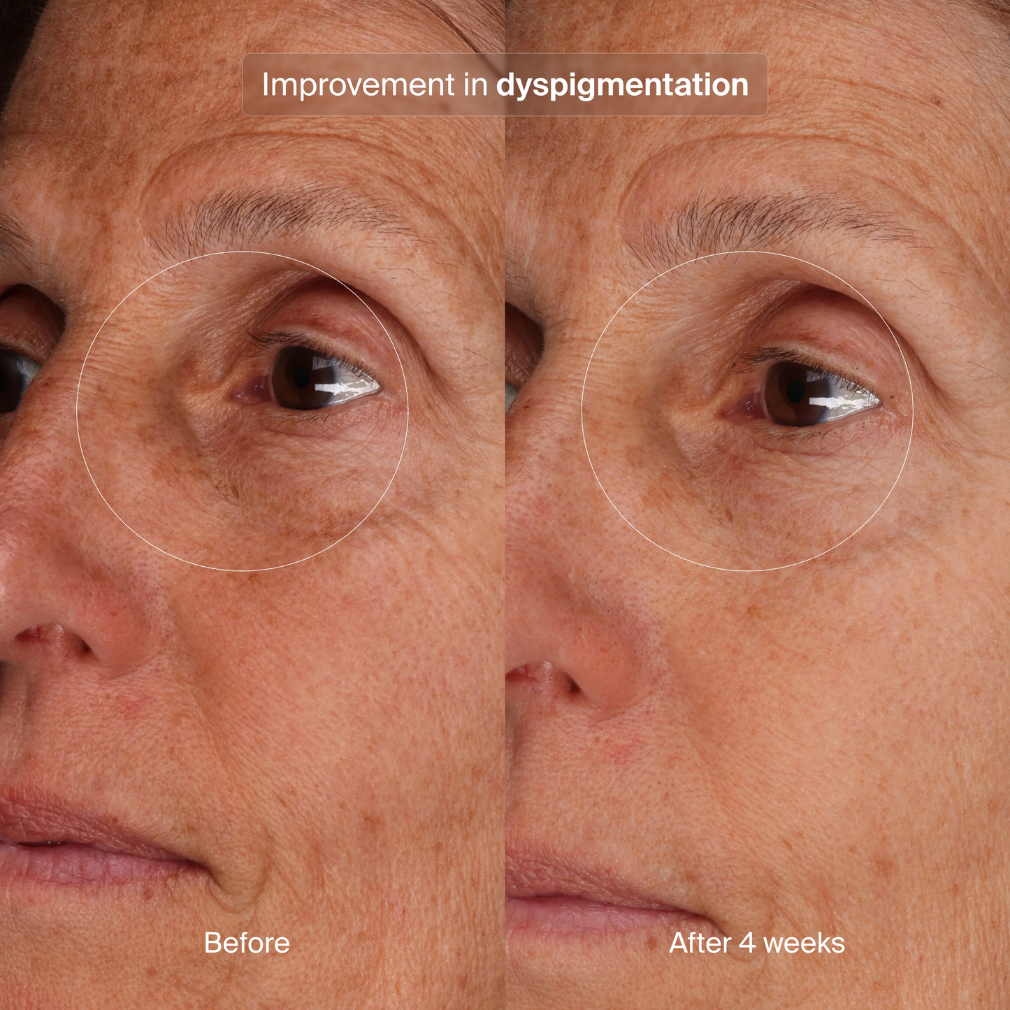 Pavise Bioadaptive Stress Repair Refill - Freeze Co Beauty