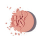 Fitglow Beauty Multi-Use Pressed + Cream Color Refills - Freeze Co Beauty